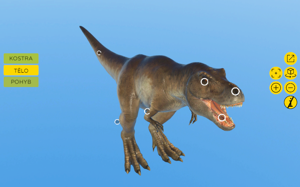 Tyrannosaurus rex