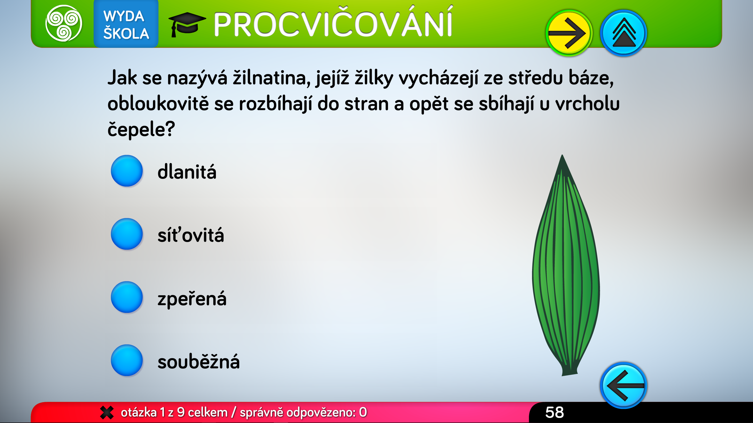 Listy stromů